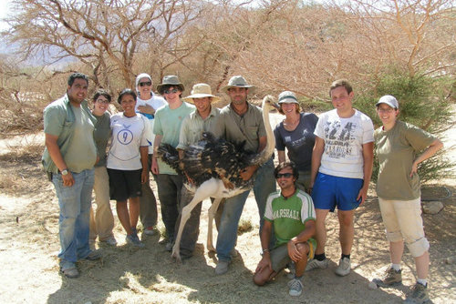 Wildlife and Conservation Volunteer Projects in Israel